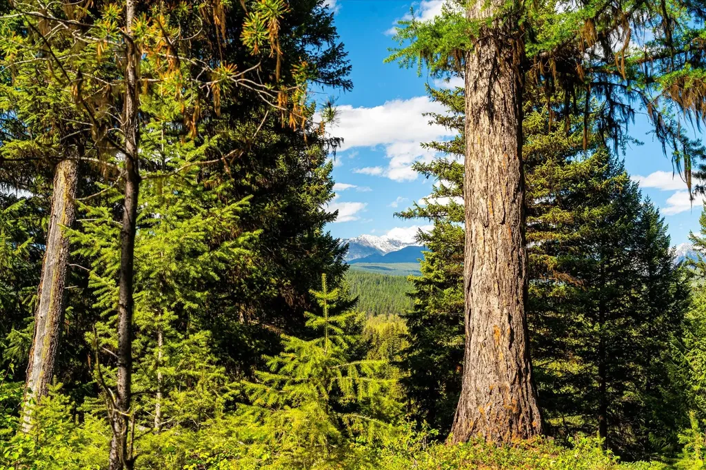 8500 North Fork Road Polebridge MT 59928