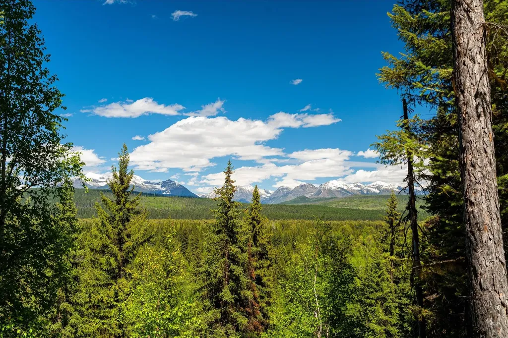 8500 North Fork Road Polebridge MT 59928