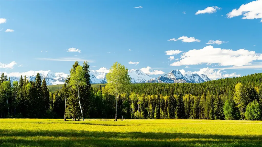 8500 North Fork Road Polebridge MT 59928