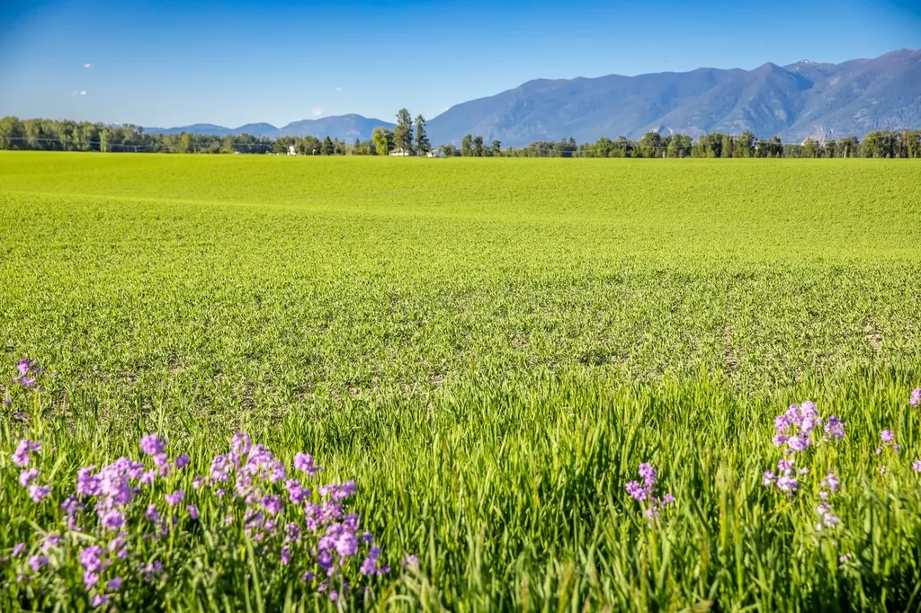 Tbd Blomer Lane Kalispell MT 59901