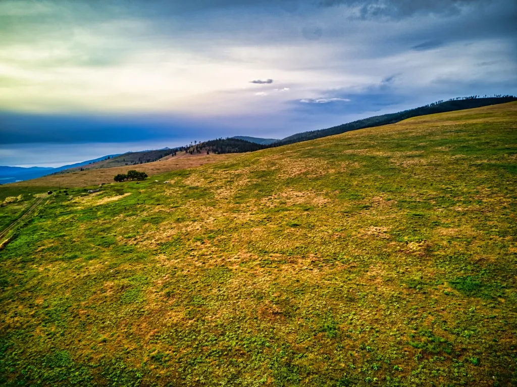 Nhn Sweet Pea Way Missoula MT 59808