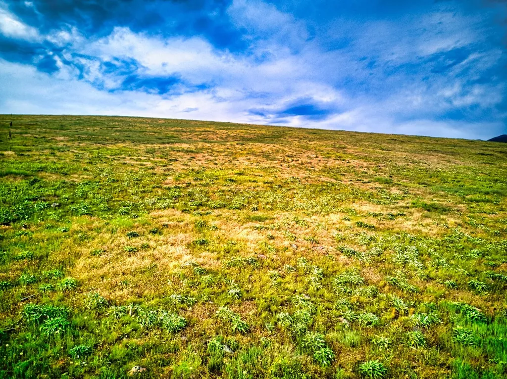 Nhn Sweet Pea Way Missoula MT 59808