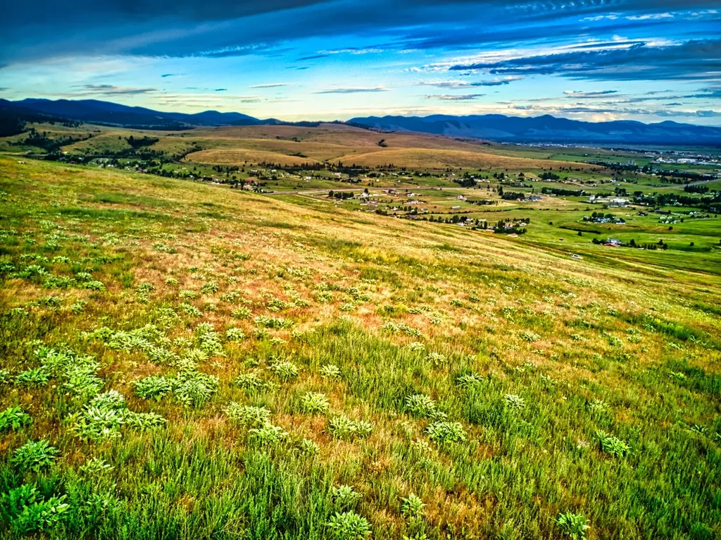 Nhn Sweet Pea Way Missoula MT 59808