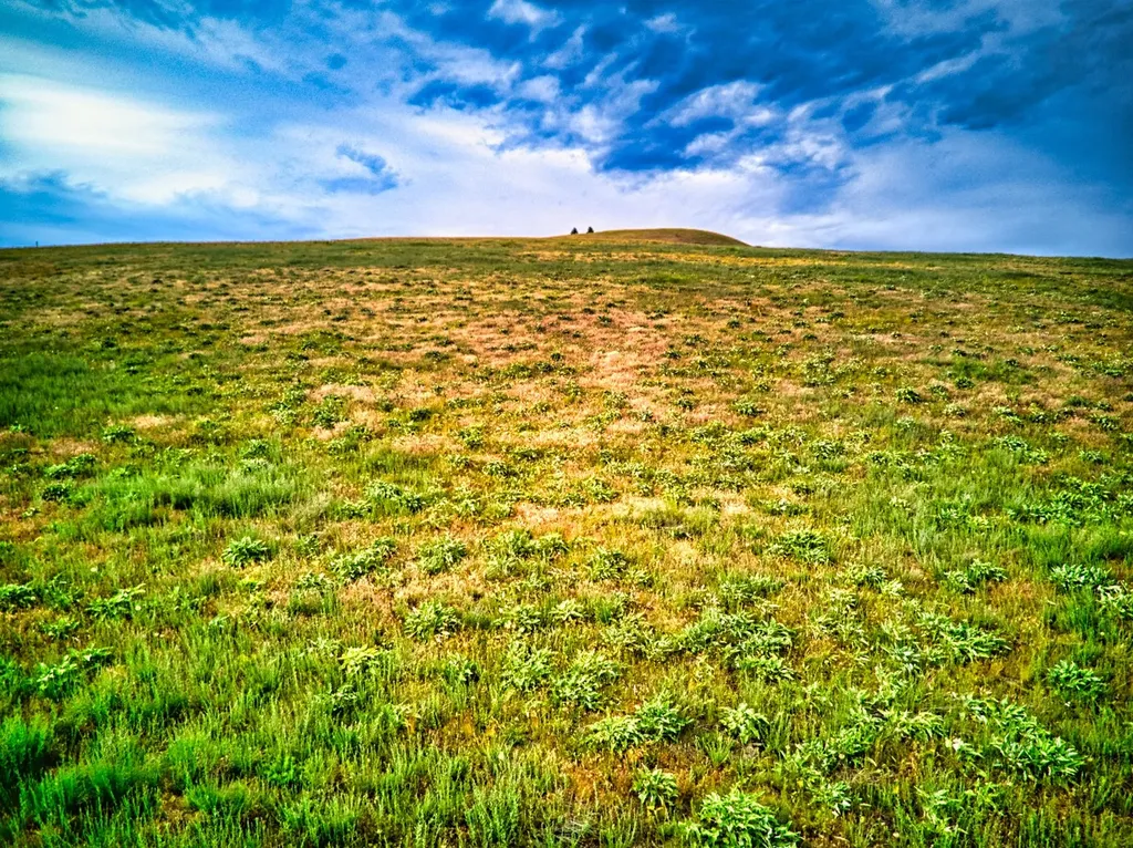 Nhn Sweet Pea Way Missoula MT 59808