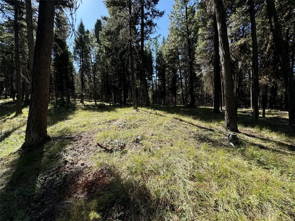 643 & 589 Stagecoach Drive Seeley Lake MT 59868