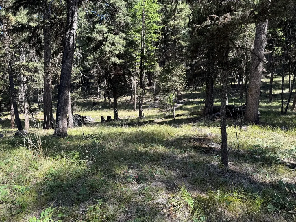 643 & 589 Stagecoach Drive Seeley Lake MT 59868