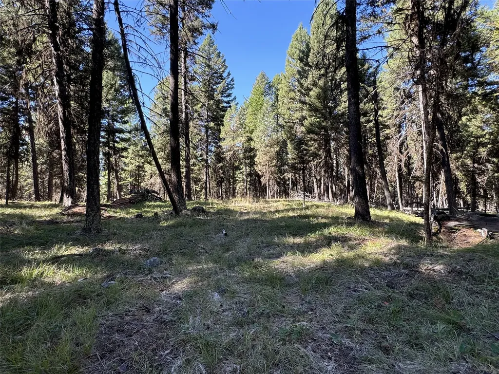 643 & 589 Stagecoach Drive Seeley Lake MT 59868