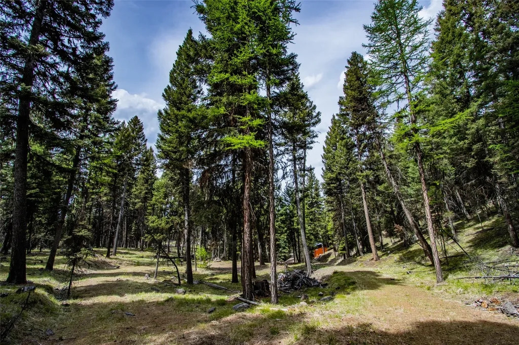 643 & 589 Stagecoach Drive Seeley Lake MT 59868