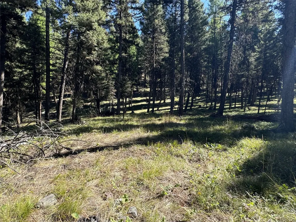 643 & 589 Stagecoach Drive Seeley Lake MT 59868