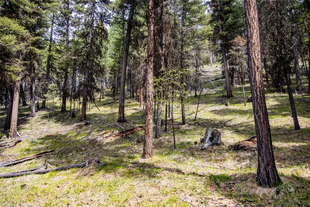 643 & 589 Stagecoach Drive Seeley Lake MT 59868