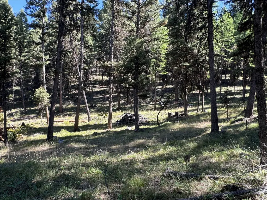 643 & 589 Stagecoach Drive Seeley Lake MT 59868