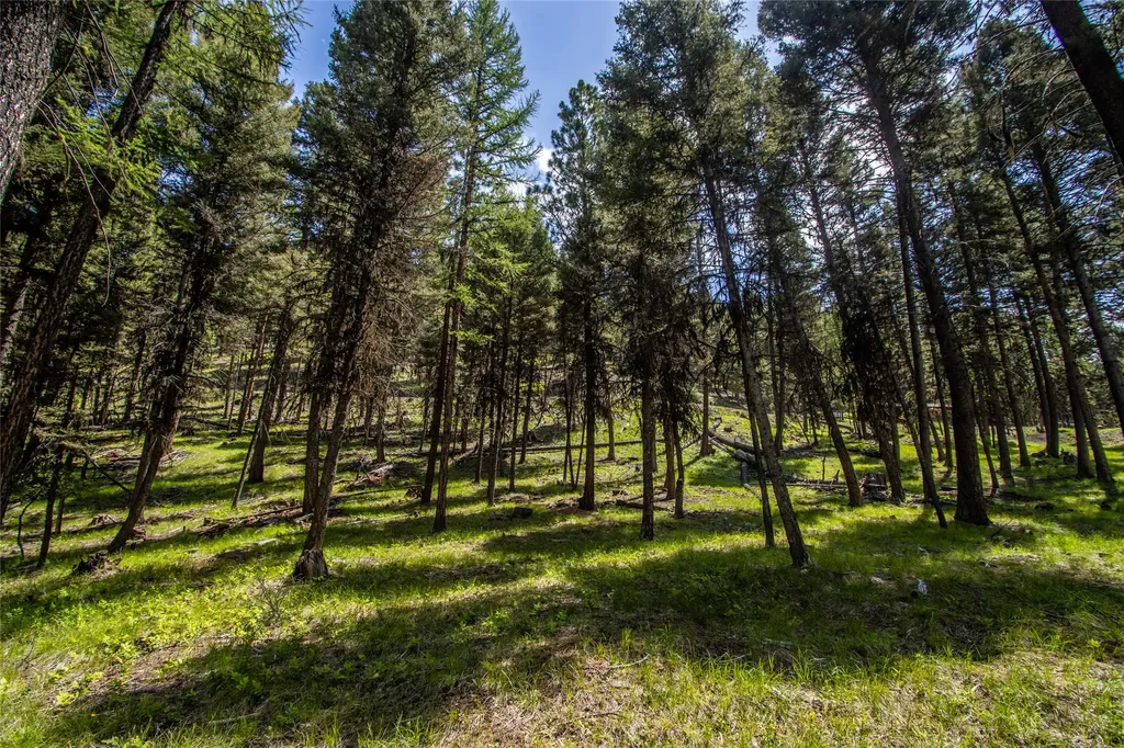 643 & 589 Stagecoach Drive Seeley Lake MT 59868