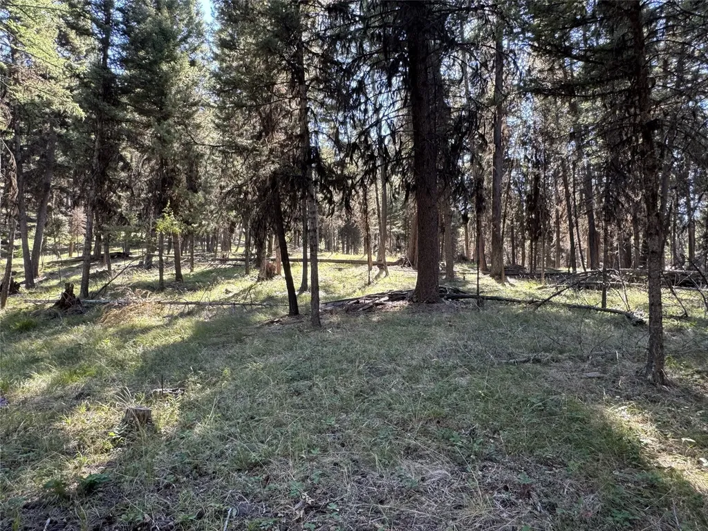 643 & 589 Stagecoach Drive Seeley Lake MT 59868
