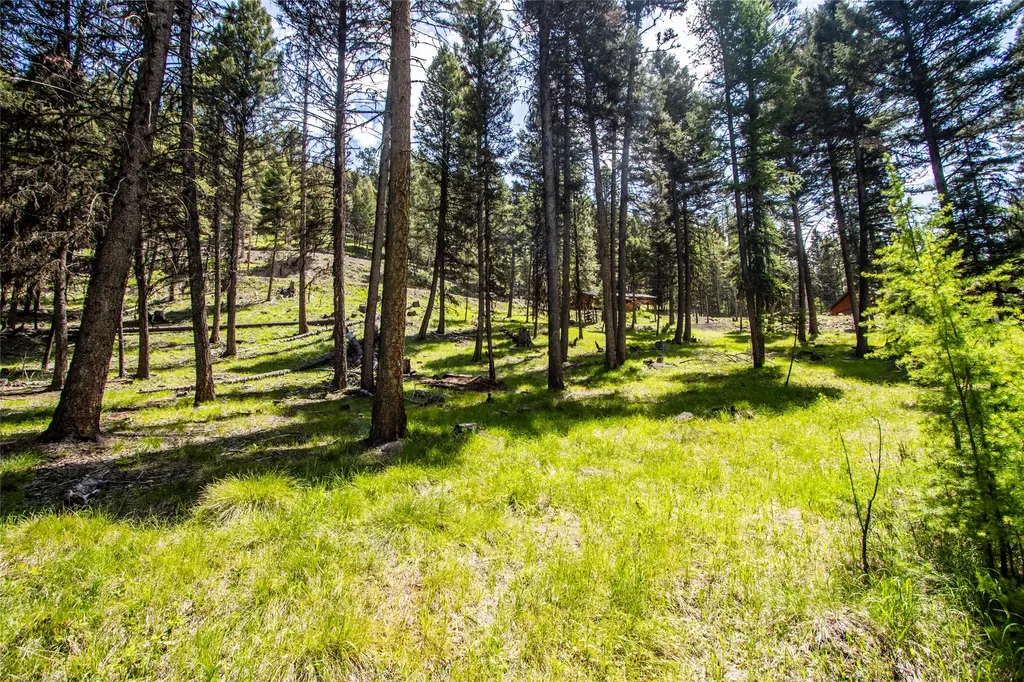 643 & 589 Stagecoach Drive Seeley Lake MT 59868