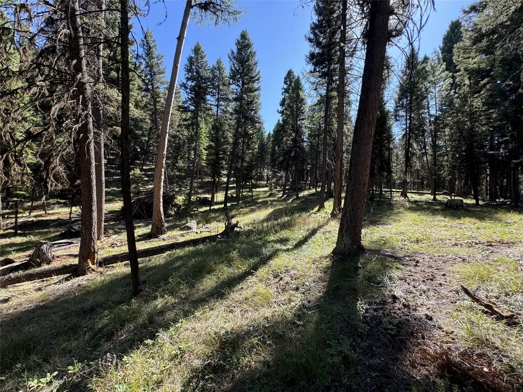 643 & 589 Stagecoach Drive Seeley Lake MT 59868