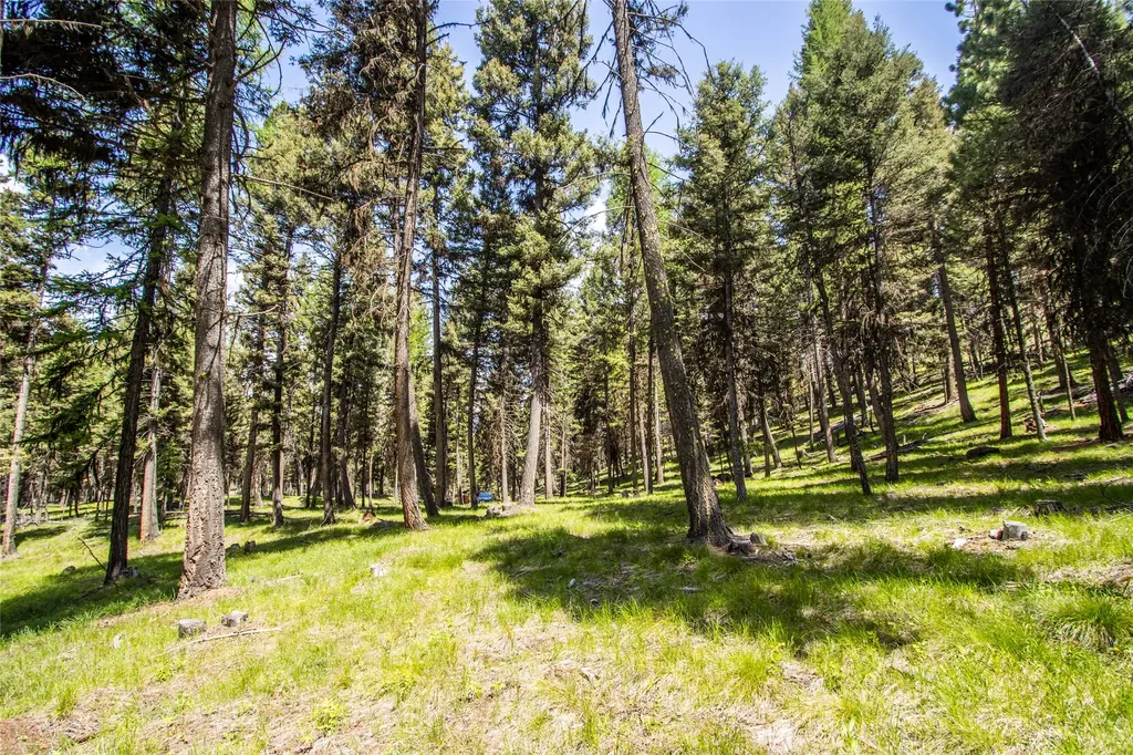 643 & 589 Stagecoach Drive Seeley Lake MT 59868