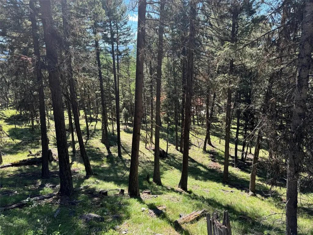 643 & 589 Stagecoach Drive Seeley Lake MT 59868