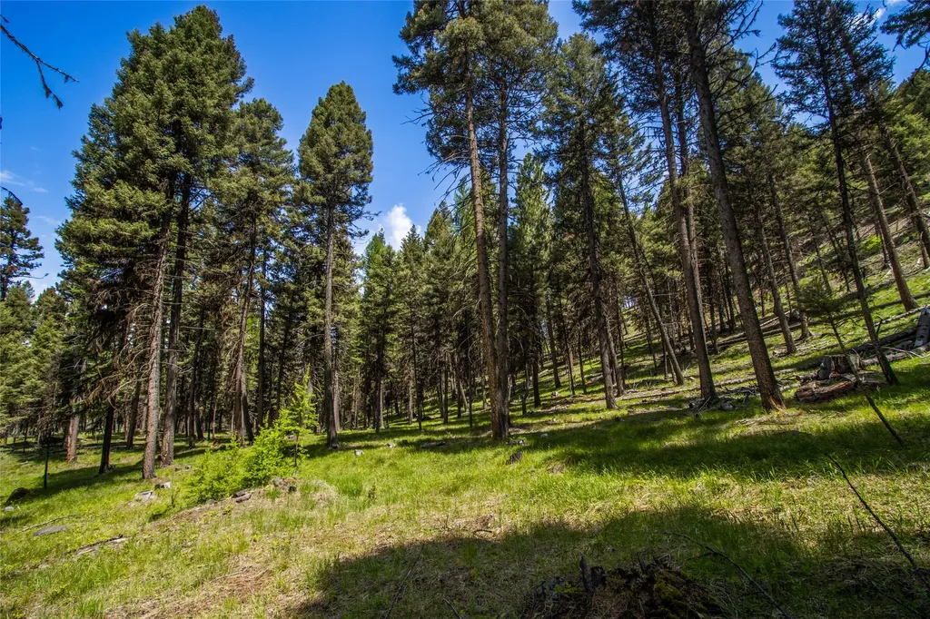 643 & 589 Stagecoach Drive Seeley Lake MT 59868