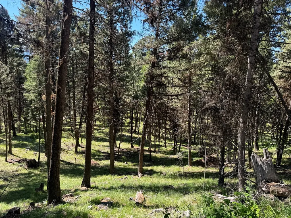 643 & 589 Stagecoach Drive Seeley Lake MT 59868