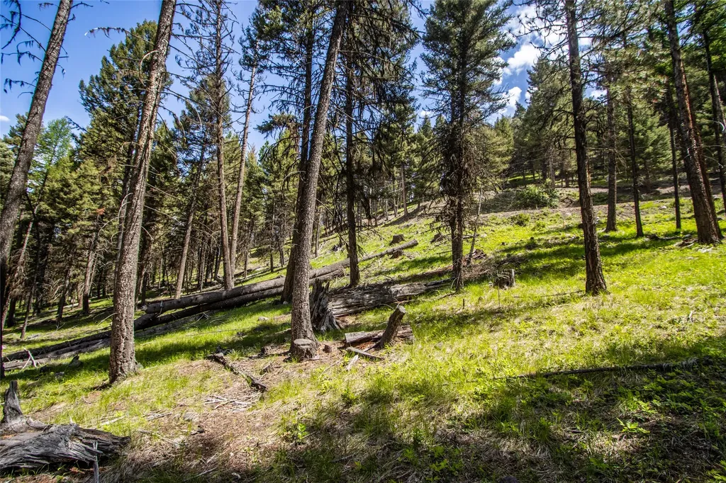 643 & 589 Stagecoach Drive Seeley Lake MT 59868