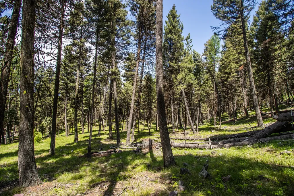 643 & 589 Stagecoach Drive Seeley Lake MT 59868