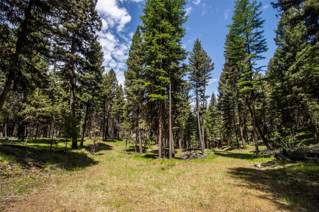 643 & 589 Stagecoach Drive Seeley Lake MT 59868