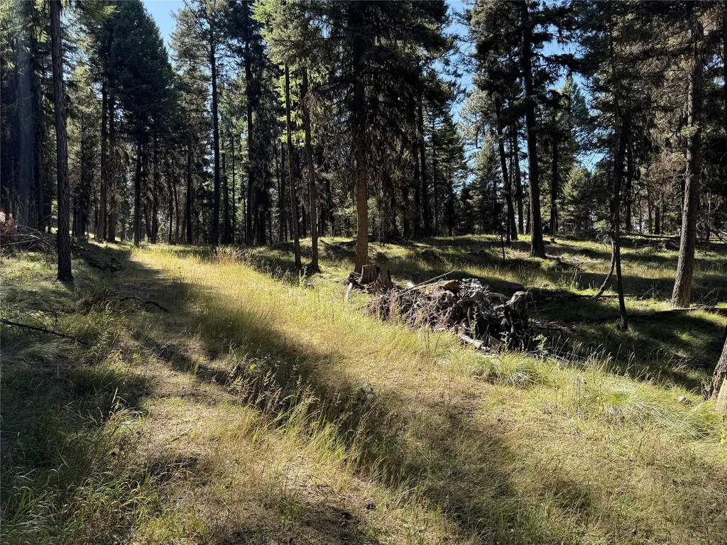 643 & 589 Stagecoach Drive Seeley Lake MT 59868