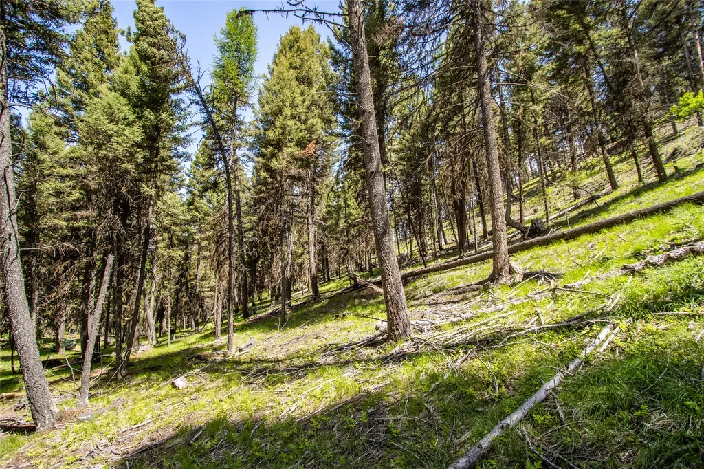 643 & 589 Stagecoach Drive Seeley Lake MT 59868