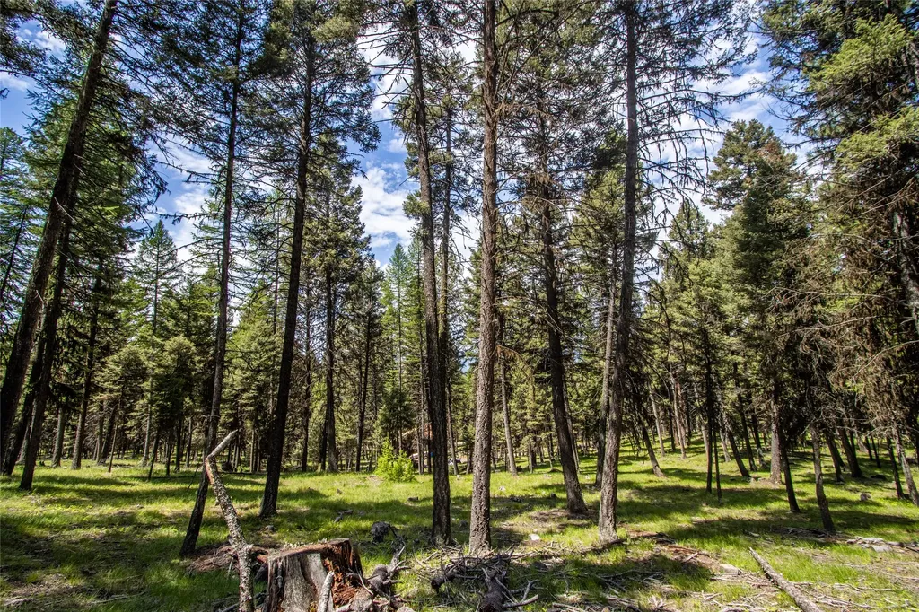 643 & 589 Stagecoach Drive Seeley Lake MT 59868