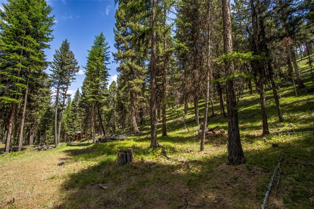 643 & 589 Stagecoach Drive Seeley Lake MT 59868