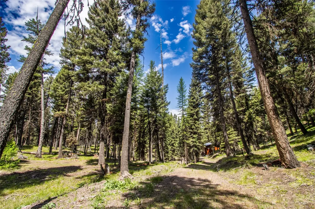643 & 589 Stagecoach Drive Seeley Lake MT 59868
