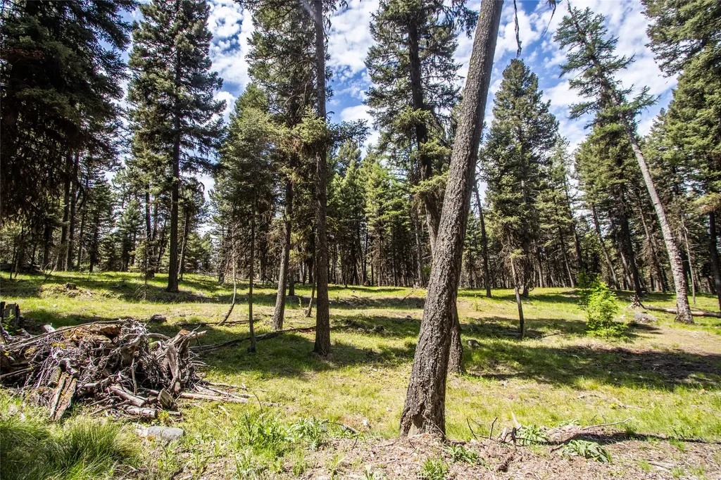 643 & 589 Stagecoach Drive Seeley Lake MT 59868