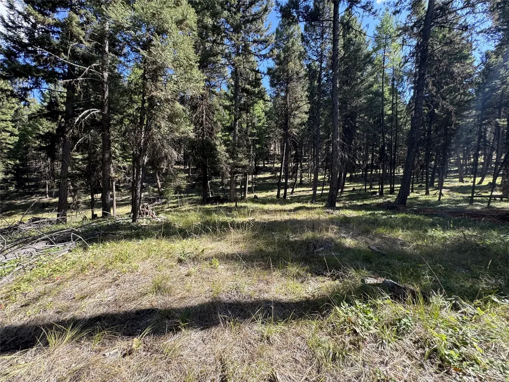 643 & 589 Stagecoach Drive Seeley Lake MT 59868