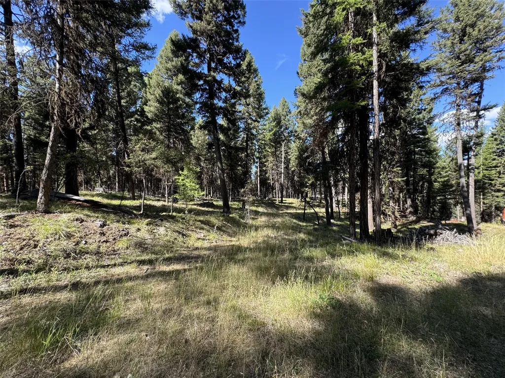 643 & 589 Stagecoach Drive Seeley Lake MT 59868