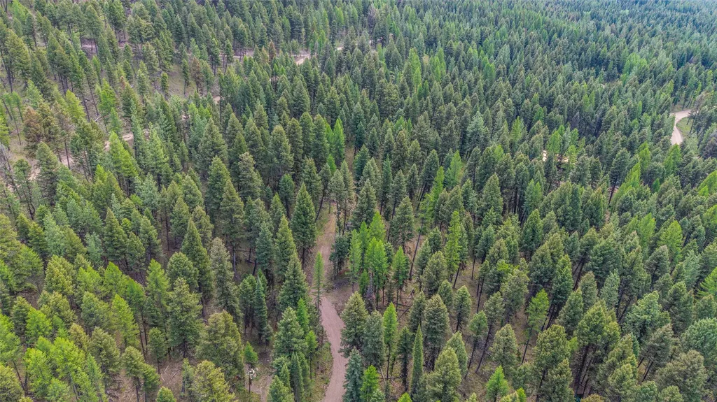 643 & 589 Stagecoach Drive Seeley Lake MT 59868