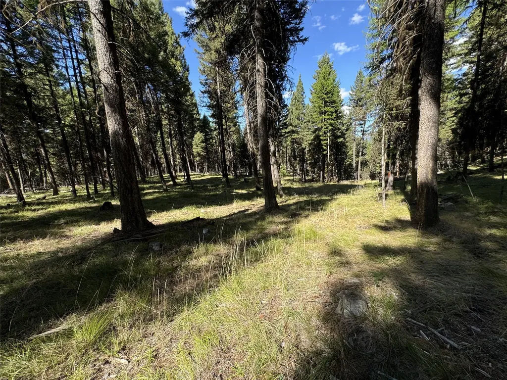 643 & 589 Stagecoach Drive Seeley Lake MT 59868