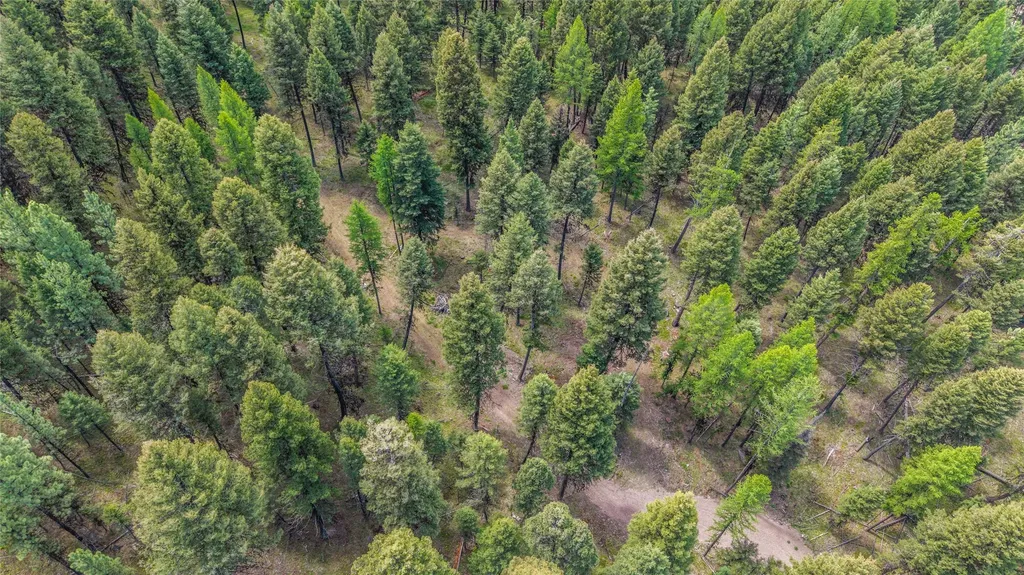 643 & 589 Stagecoach Drive Seeley Lake MT 59868