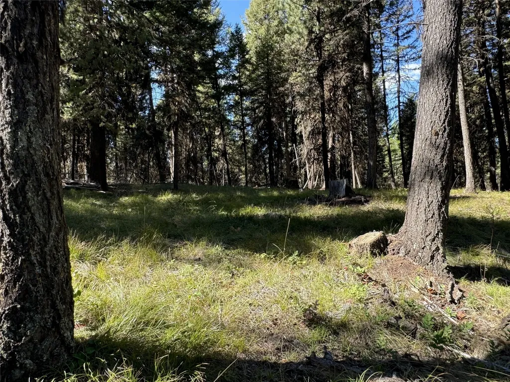 643 & 589 Stagecoach Drive Seeley Lake MT 59868