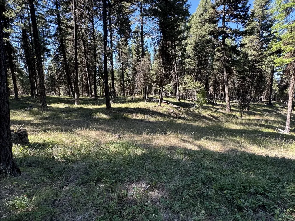 643 & 589 Stagecoach Drive Seeley Lake MT 59868