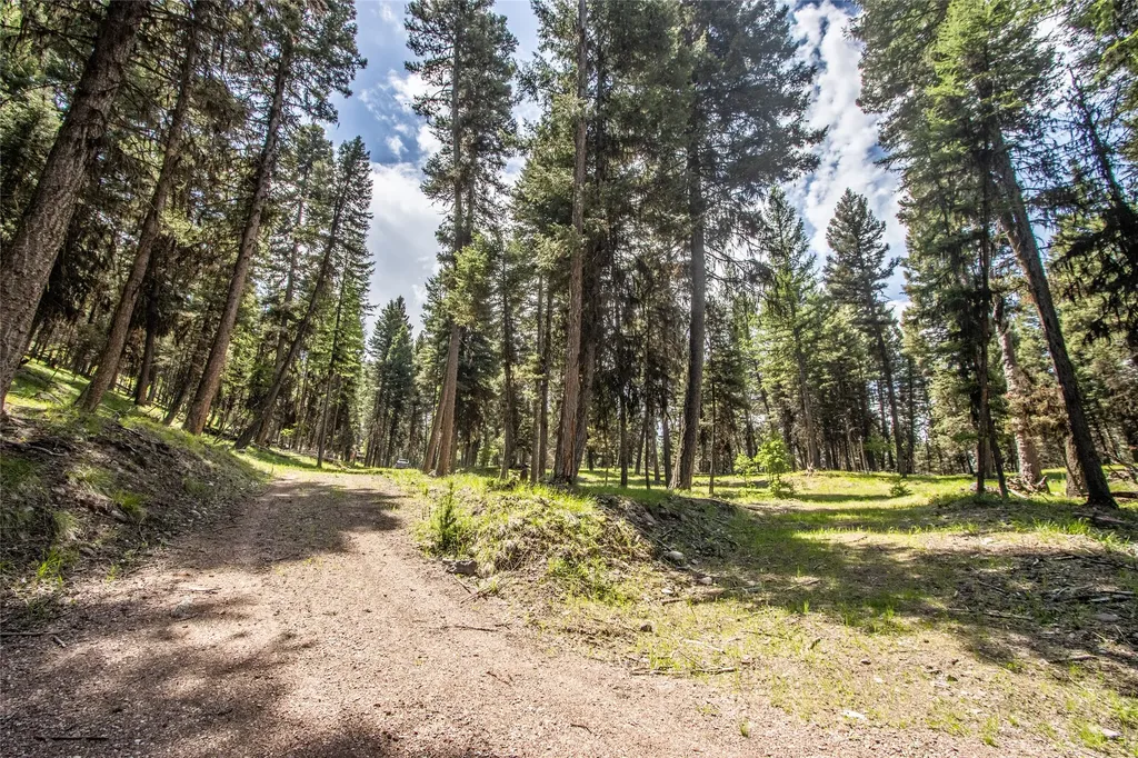 643 & 589 Stagecoach Drive Seeley Lake MT 59868