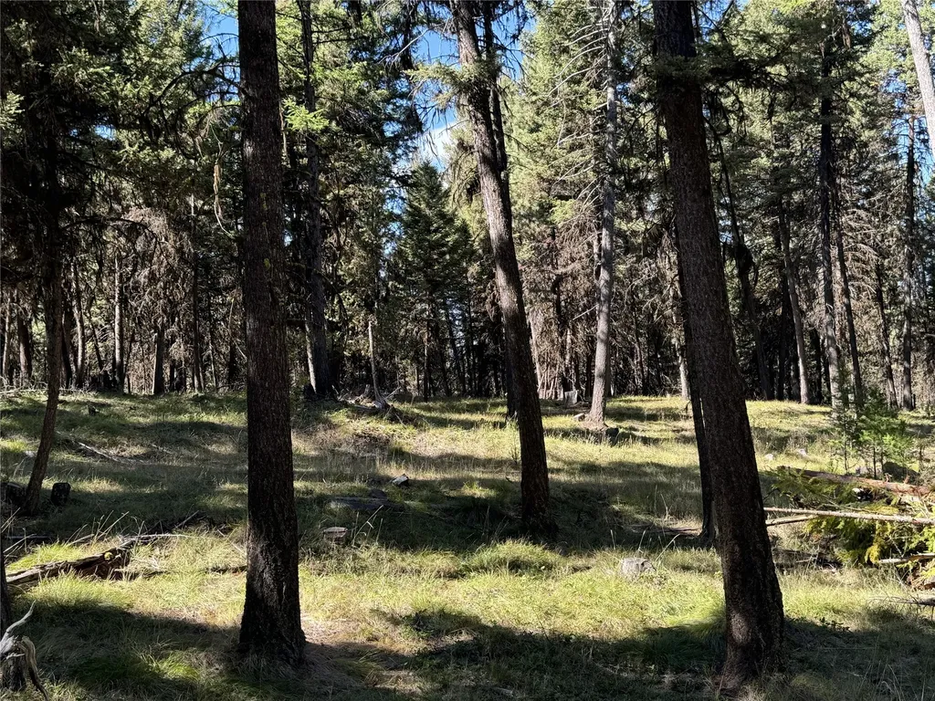 643 & 589 Stagecoach Drive Seeley Lake MT 59868