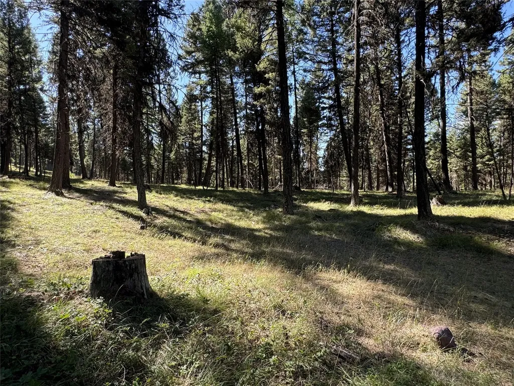 643 & 589 Stagecoach Drive Seeley Lake MT 59868