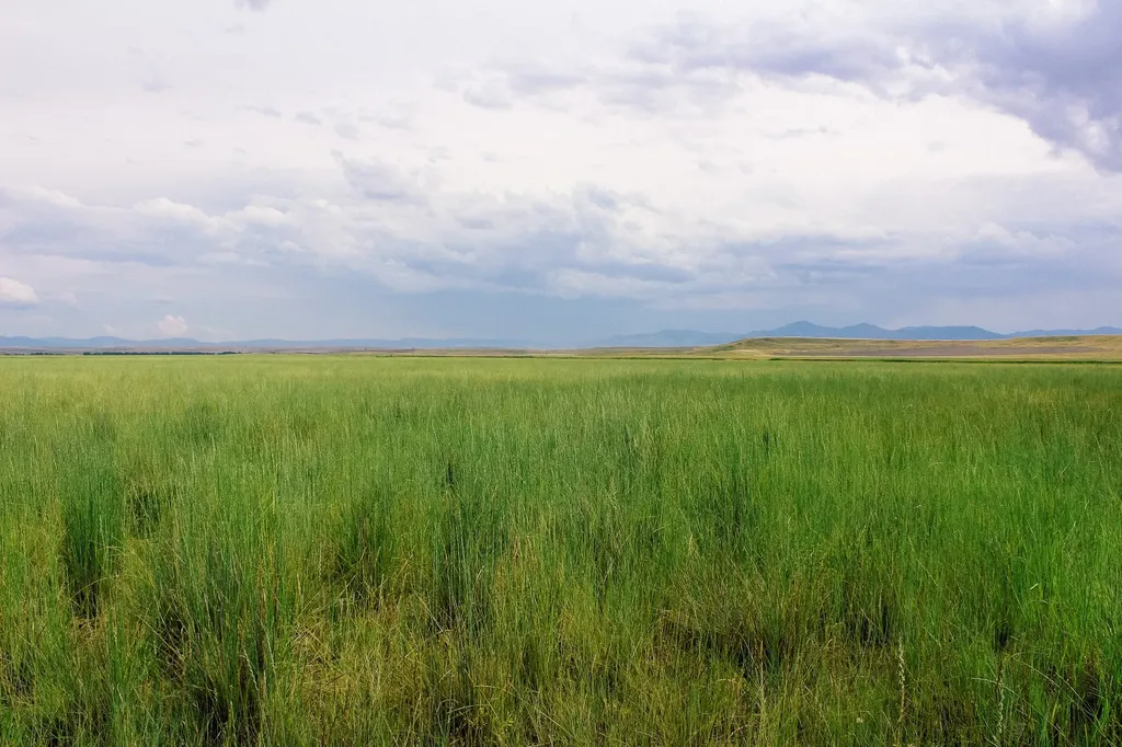 Little Muddy Creek Ranch Cascade MT 59421