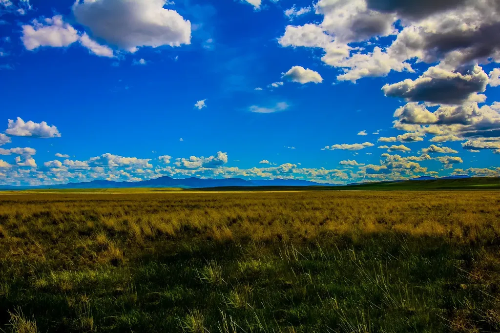 Little Muddy Creek Ranch Cascade MT 59421