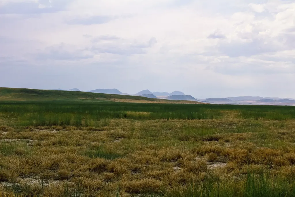 Little Muddy Creek Ranch Cascade MT 59421