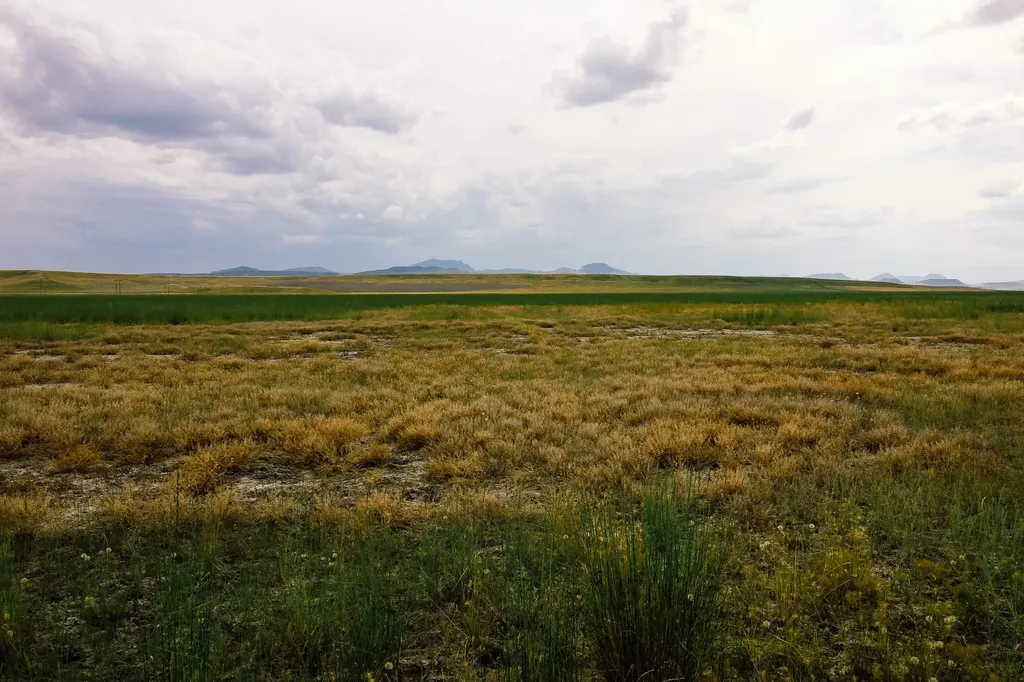 Little Muddy Creek Ranch Cascade MT 59421