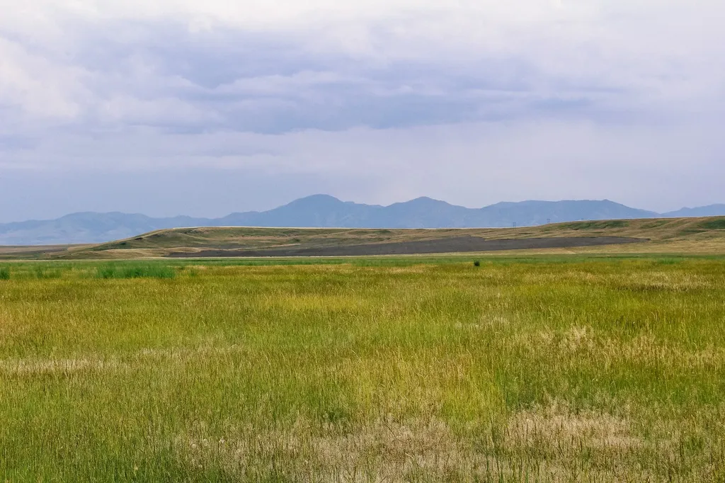 Little Muddy Creek Ranch Cascade MT 59421