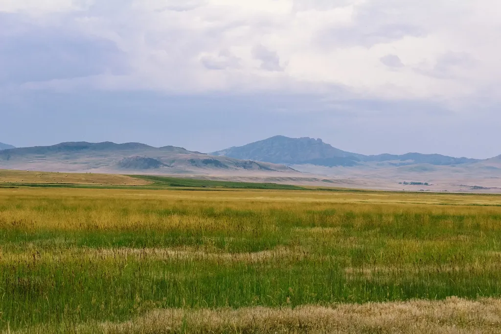 Little Muddy Creek Ranch Cascade MT 59421