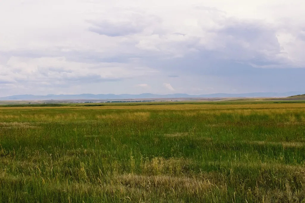 Little Muddy Creek Ranch Cascade MT 59421