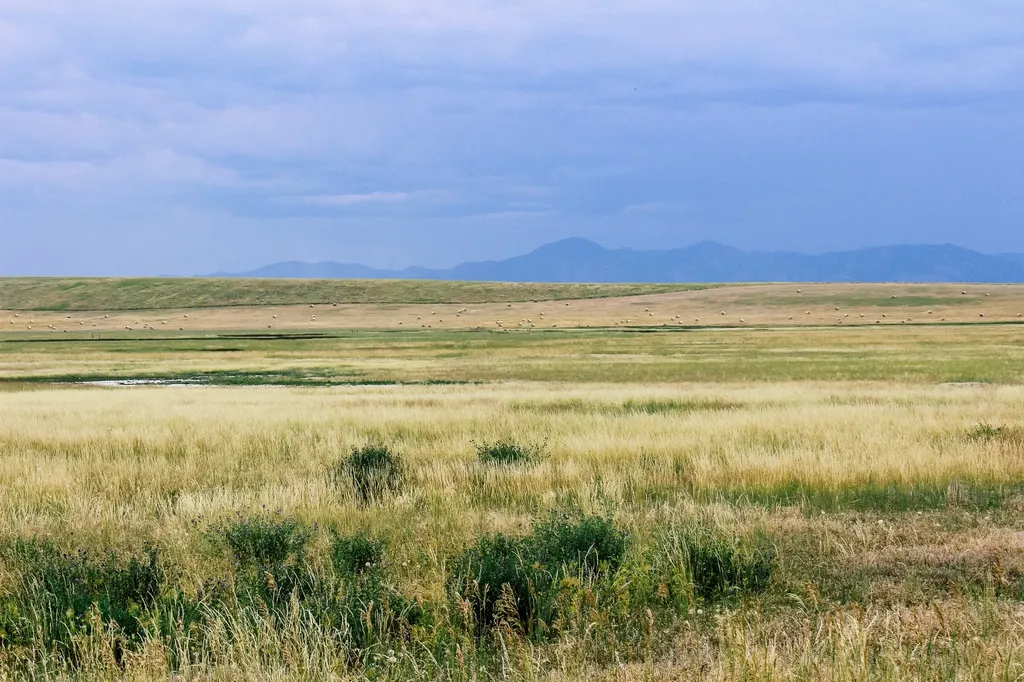 Little Muddy Creek Ranch Cascade MT 59421